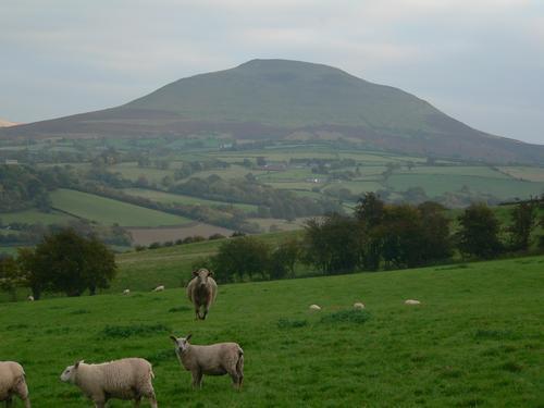 The Draen Bed And Breakfast Brecon Extérieur photo