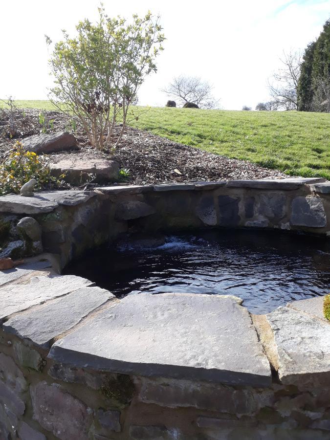 The Draen Bed And Breakfast Brecon Extérieur photo
